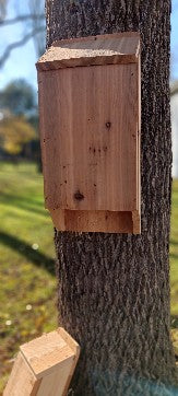 Bat House