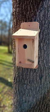 Bluebird House