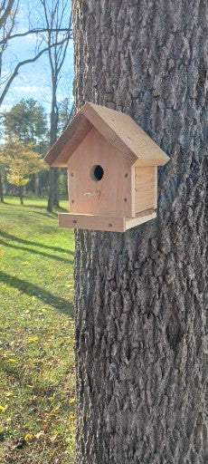 Rough Cut Birdhouse