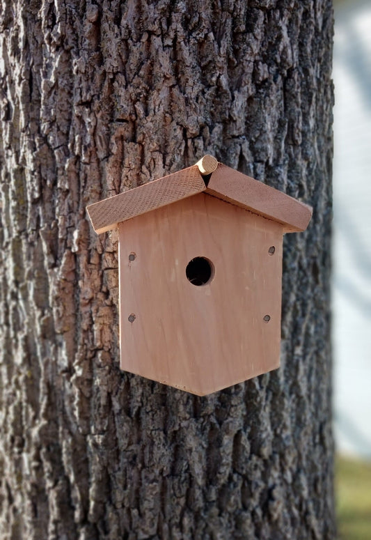 Wren Birdhouse